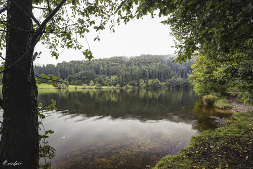 Marbach-Stausee_20250928_0003-BR1-2-3_B_HDR_Web.jpeg