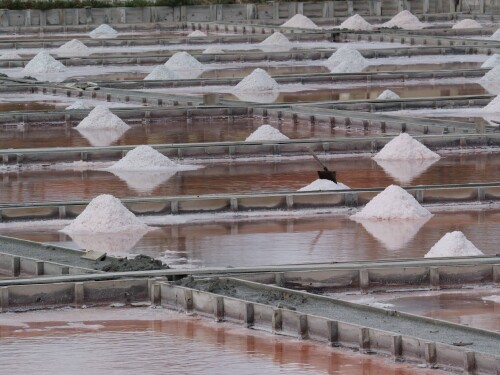 6.0-saline-pomorie.jpeg