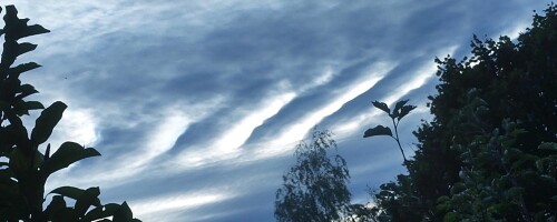 K800_Luftungsspalten-zum-Himmel.jpeg