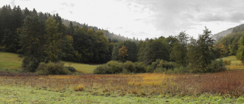 Panorama_20251008_0001-P1-2-3-4-5-6-7_B_HDR_Web.jpeg
