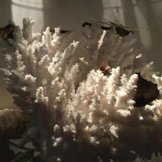 IMG_0299e7fc73d91e482fc7