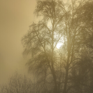 Sonnenaufgang_Nebel_20251201_0001_B1_HDR_Web