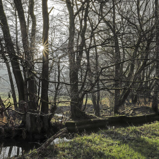 Ulfenbachtal_20251215_0002_B_HDR_Web