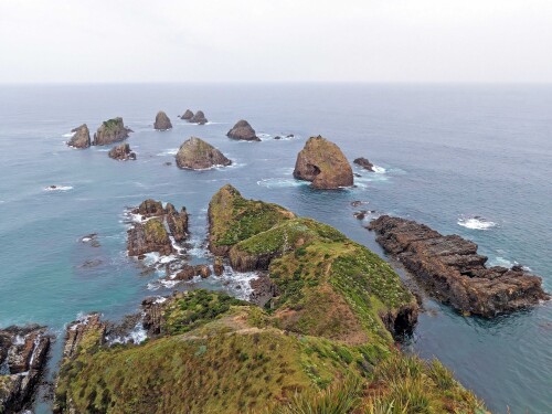 5.5-nugget-point-neuseeland.jpeg