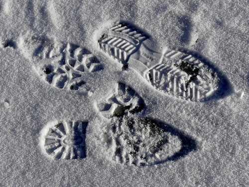 2026-01-11-Spuren-im-Schnee-4.jpeg