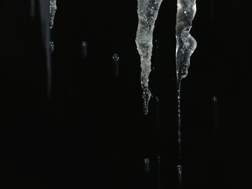 2026-01-28-abtauende-Eiszapfen-12.jpeg