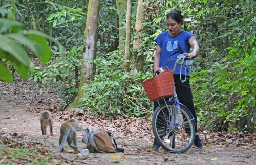 9-javaneraffe-1-klauen-tasche-vom-fahrrad.jpeg