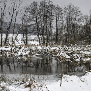 Ulfenbachtal_20260126_0004_B_HDR_Web