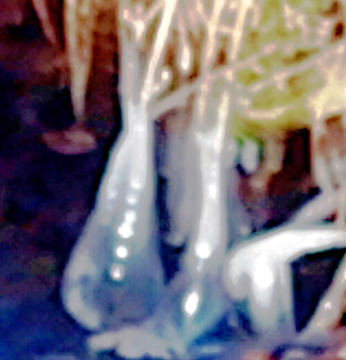 Eisglocken-am-Ufer-des-SchwarzeBaches-1.jpeg