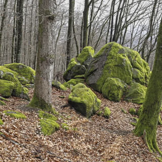 Wildweibchenstein_20260207_0004_B_HDR_Web