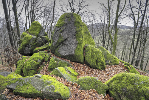 Der Wildweibchenstein bei Laudenau, Natural landmark Wildweibchenstein

Aufnahmeort: Odenwald
Kamera: Canon EOS 6D
Objektiv: Canon EF 17-40mm

© Alle von mir veröffentlichten Bilder unterliegen dem Urheberrecht und dürfen ohne meine schriftliche Genehmigung nicht verwendet werden.