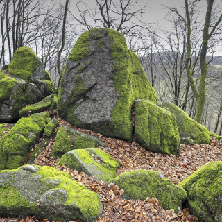 Wildweibchenstein_20260207_0006_B_HDR_Web