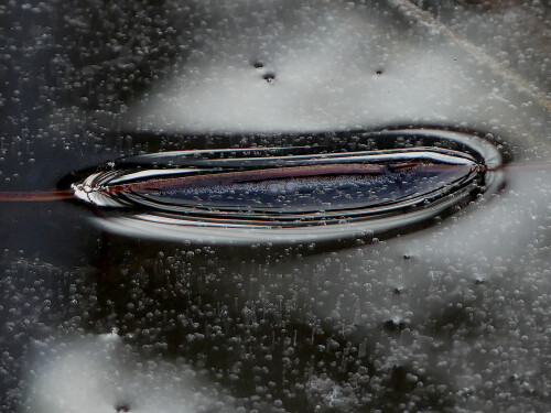 2026-02-12-Auge-im-tauenden-Gartenteicheis-2.jpeg