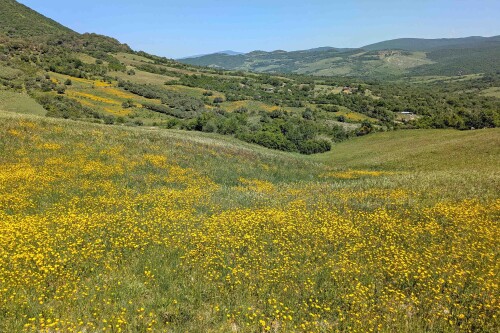 2.3-landschaft-bei-tolfa.jpeg